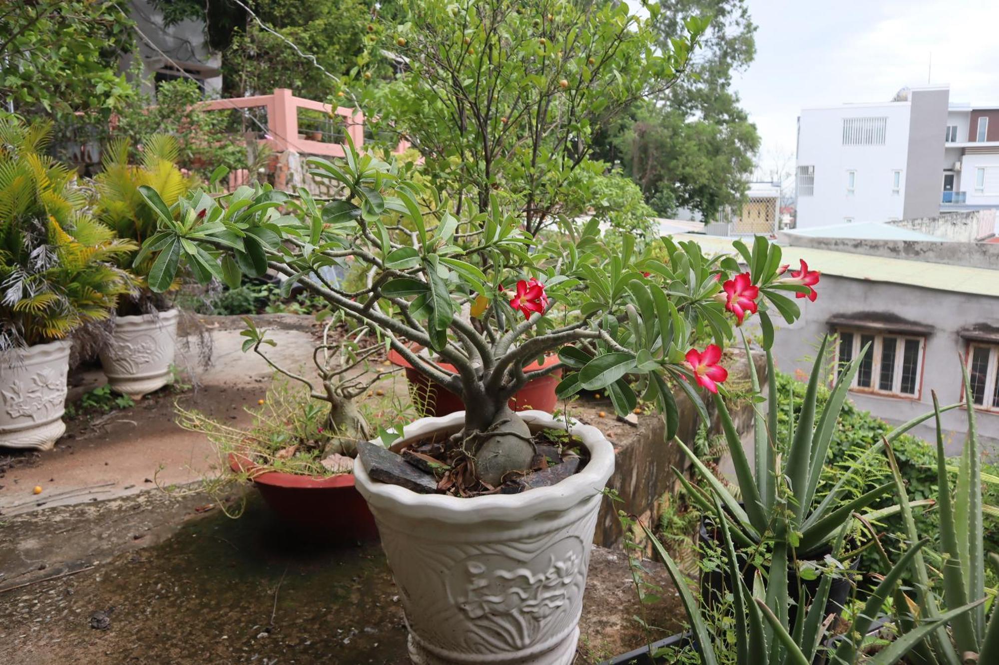 Cassabella Hotel & Apartments Vung Tau Luaran gambar